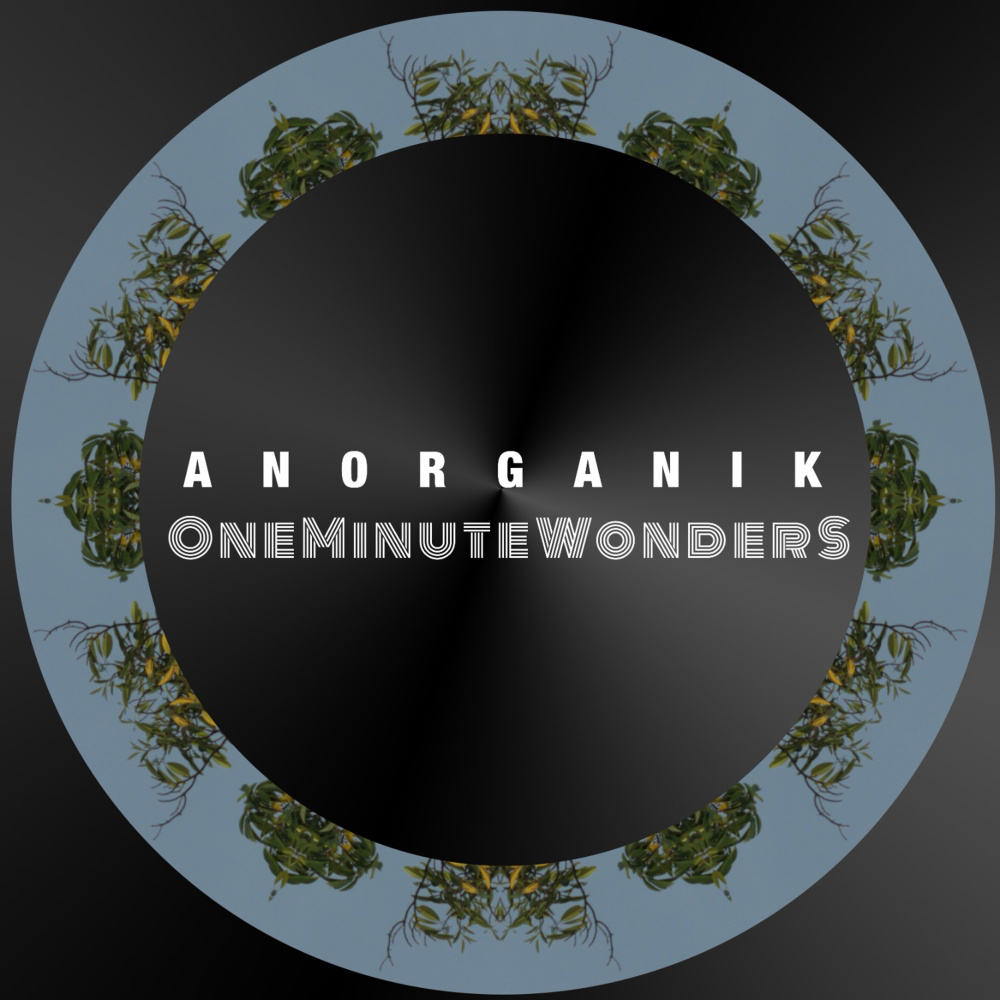 OneMinuteWonder III