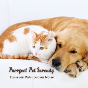 Purrfect Pet Serenity: Fur-ever Calm Brown Noise