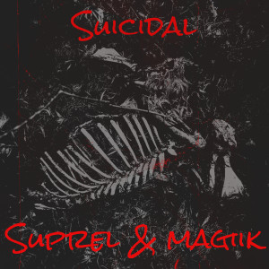 Listen to Suicidal (Explicit) song with lyrics from Suprel