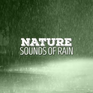 收聽Sounds of Nature White Noise Sound Effects的Raining歌詞歌曲