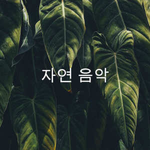 Album 자연 음악 from Nature Sounds Nature Music