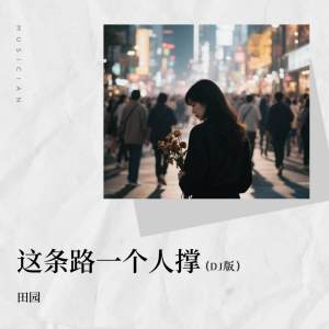田园的专辑这条路一个人撑 (DJ版)