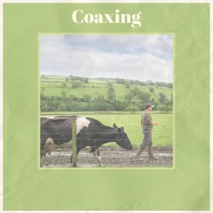 Album Coaxing from Various
