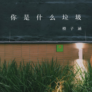 橙子涵的专辑你是什么垃圾