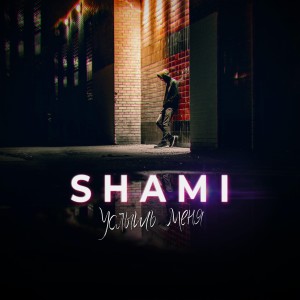ดาวน์โหลดและฟังเพลง И я тебя тоже พร้อมเนื้อเพลงจาก Shami