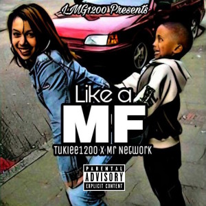 Mr Network的專輯Like a MF (Explicit)