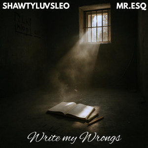 Mr. Esq的專輯WRITE MY WRONGS