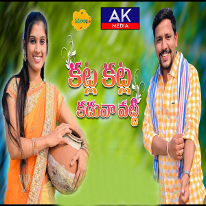 Listen to Katla Katla Kaduva Vatti song with lyrics from JOGULA VENKATESH
