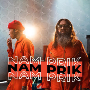 Dengarkan lagu Namprik nyanyian SUPERDOC dengan lirik
