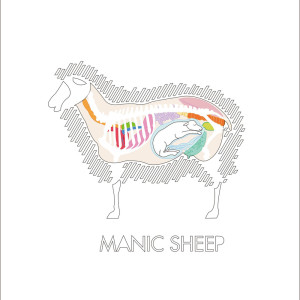 Listen to Your Affectation song with lyrics from Manic Sheep