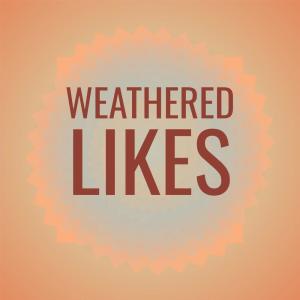 อัลบัม Weathered Likes ศิลปิน Various