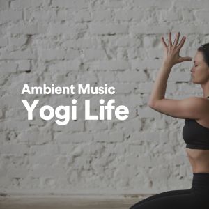 Healing Yoga Meditation Music Consort的專輯Ambient Music Yogi Life