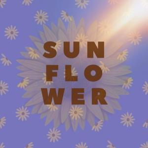 收听Yenibi的Sunflower歌词歌曲