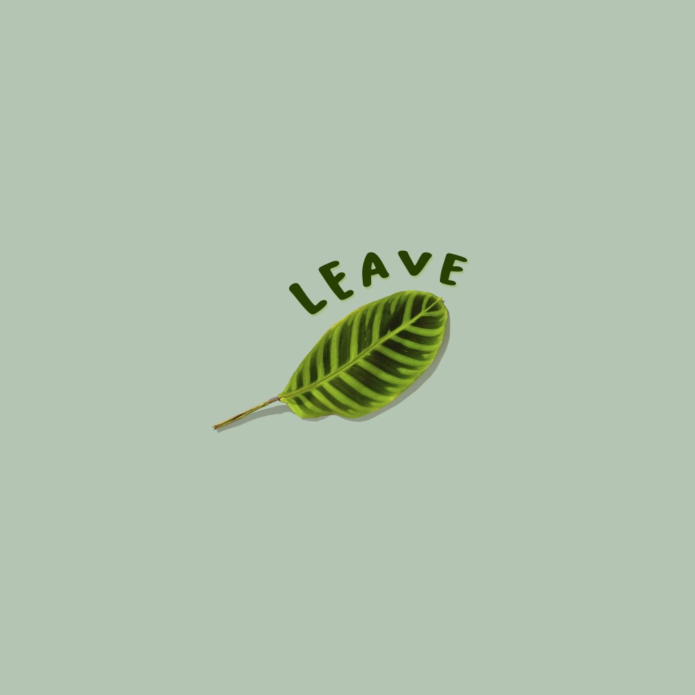 Leave