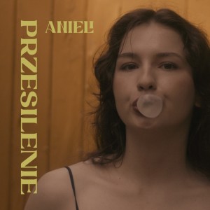 Album Przesilenie (Radio edit) from 