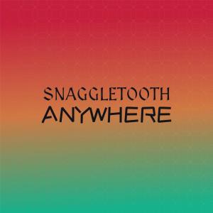 Various的专辑Snaggletooth Anywhere