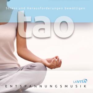 收聽La Vita的Tao garden歌詞歌曲