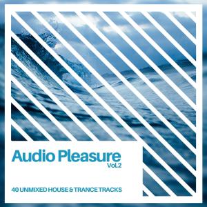 Various Artists的專輯Audio Pleasure Vol.2 (Radio Edits)