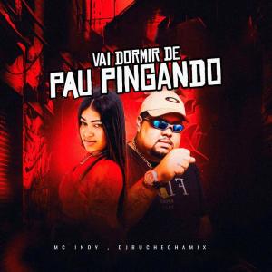 Listen to Vai Dormir de Pau Pingando (Explicit) song with lyrics from MC INDY