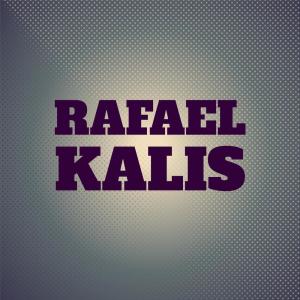 Various Artists的專輯Rafael Kalis