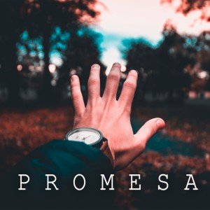 Listen to Promesa song with lyrics from Lunaman