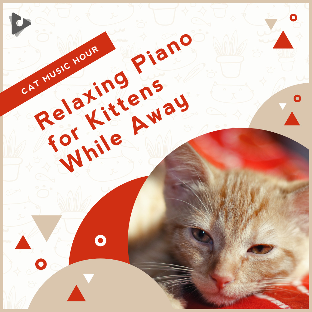 Relaxing Sounds for Kittens