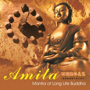 Listen to Amita-Mantra Of Long Life Buddha (Music Version) (音乐版) song with lyrics from 王俊雄