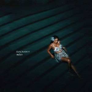 อัลบัม คนงี่เง่า ศิลปิน BADMIXY