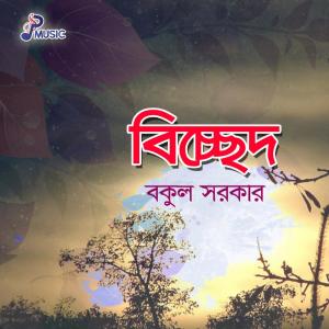 Listen to Bolina Karo Sone song with lyrics from Bakul Sarkar