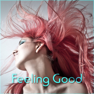 Listen to Feeling Good song with lyrics from Alixandrea Corvyn