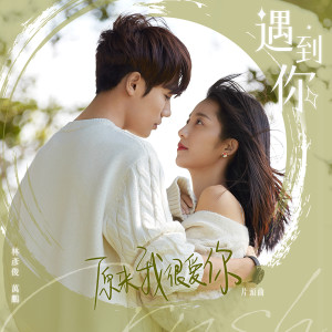 ดาวน์โหลดและฟังเพลง 遇到你 (单曲) พร้อมเนื้อเพลงจาก Evan Lin