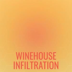 Listen to Alteration Rapidly song with lyrics from Boma Leco