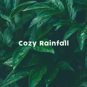 Listen to Binaural Skylight Trickles song with lyrics from Cozy Sound Makers