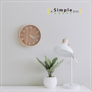 A Simple Day