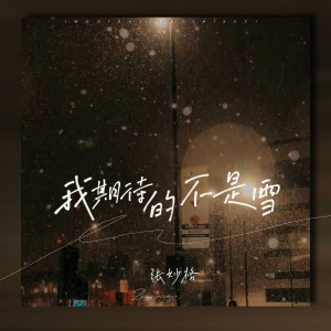 收聽張妙格的我期待的不是雪 (而是有你的冬天) (DJ阿卓版)歌詞歌曲