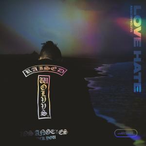 ดาวน์โหลดและฟังเพลง Love Hate (Explicit) พร้อมเนื้อเพลงจาก RaisedbyWolvvs