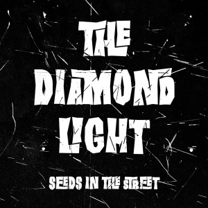 ดาวน์โหลดและฟังเพลง Thunderhorse พร้อมเนื้อเพลงจาก The Diamond Light