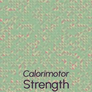 Album Calorimotor Strength oleh Various