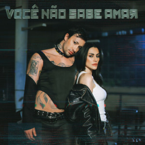 Album Você Não Sabe Amar oleh Chameleo