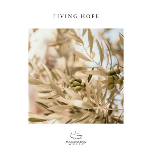 收聽Worship Solutions的Living Hope歌詞歌曲