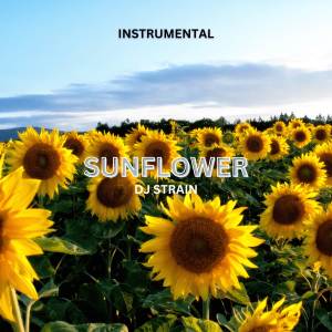 iamdjstrain的专辑Sunflower (Instrumental)