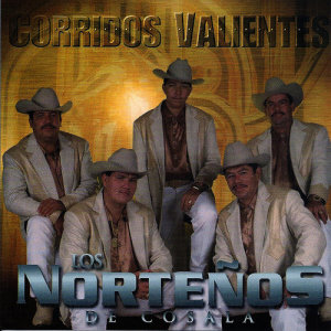 收聽Los Nortenos De Cosala的Despreciado歌詞歌曲