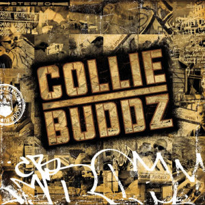 收聽Collie Buddz的Love Deh歌詞歌曲