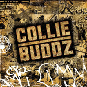 收聽Collie Buddz的Blind to You (Explicit)歌詞歌曲