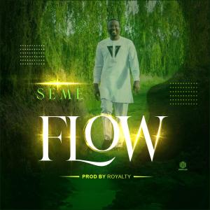 Seme的專輯Flow
