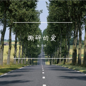 收听张乃峰的撕碎的爱歌词歌曲