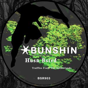 ดาวน์โหลดและฟังเพลง Truffles From The Netherlands (Explicit) พร้อมเนื้อเพลงจาก Husn Bstrd