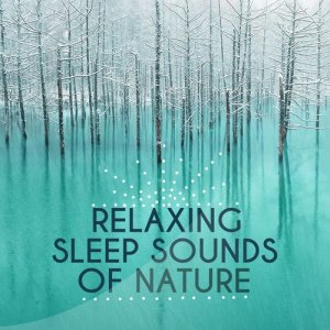收聽Outside Broadcast Recordings的Wave Birds歌詞歌曲