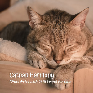 Catnap Harmony: White Noise with Chill Sound for Cats