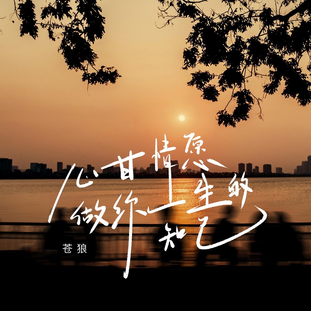 心甘情愿做你一生的知己 (DJ版伴奏)